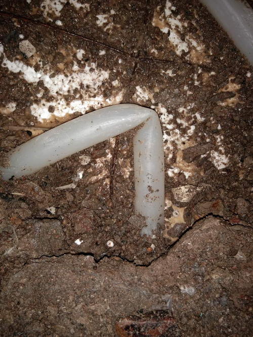 云安堵点精准查找